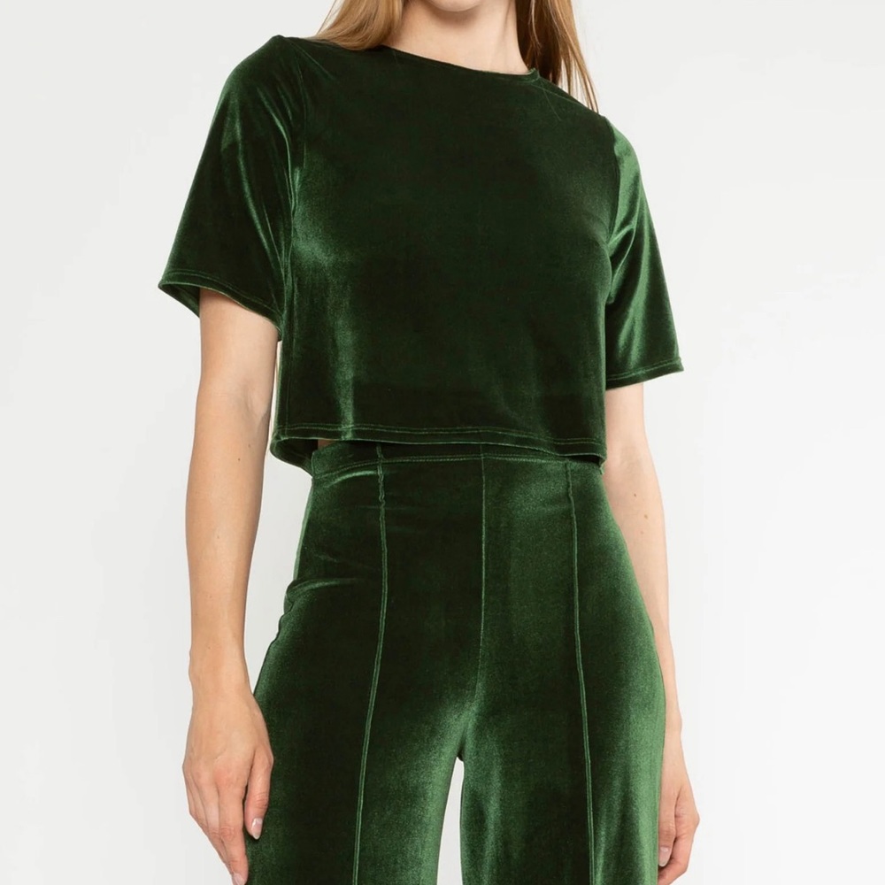 RIPLEY RADER Velvet Short Sleeve Top - Olive